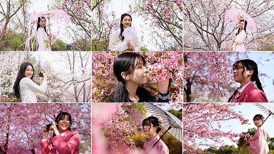 樱花少女合集视频的预览图