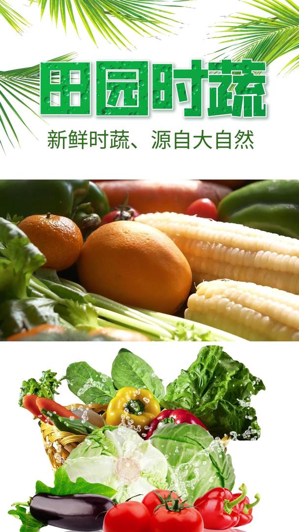 新鲜蔬菜水果视频海报视频的预览图