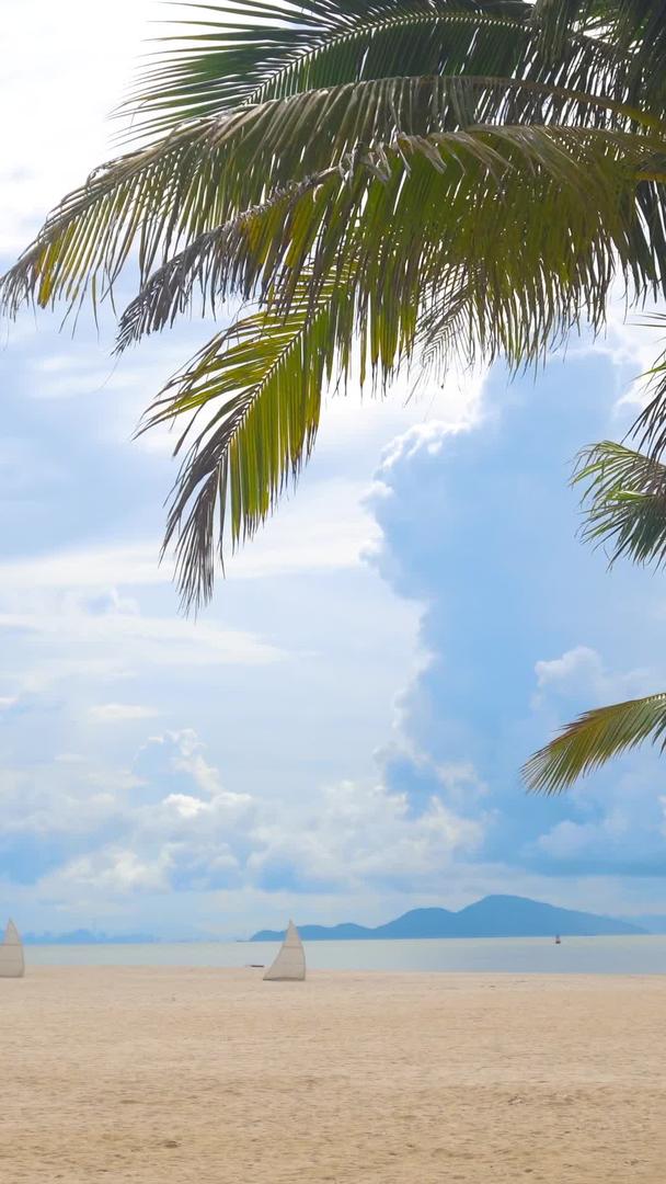 蓝天白云沙滩椰子树视频的预览图