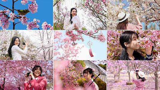 樱花少女合集视频的预览图