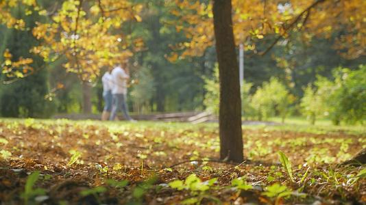 低角度拍摄秋天公园里散步的情侣 的预览图