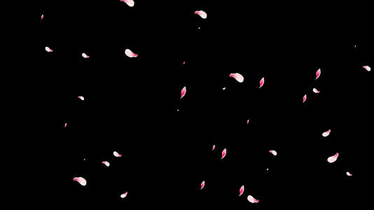 樱花飘落通道素材视频的预览图