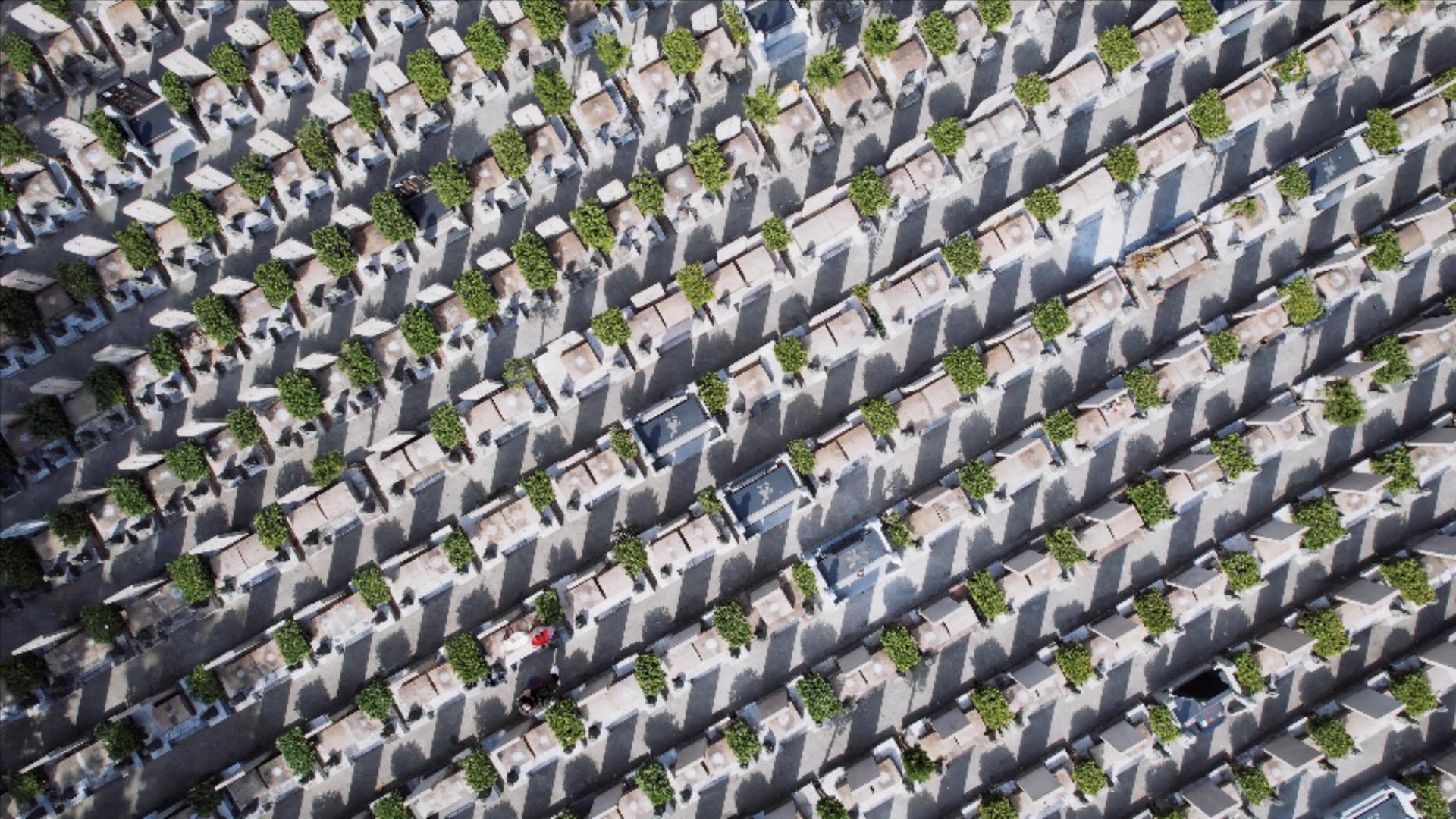 墓地墓园清明节缅怀先烈祭祖4K航拍视频的预览图