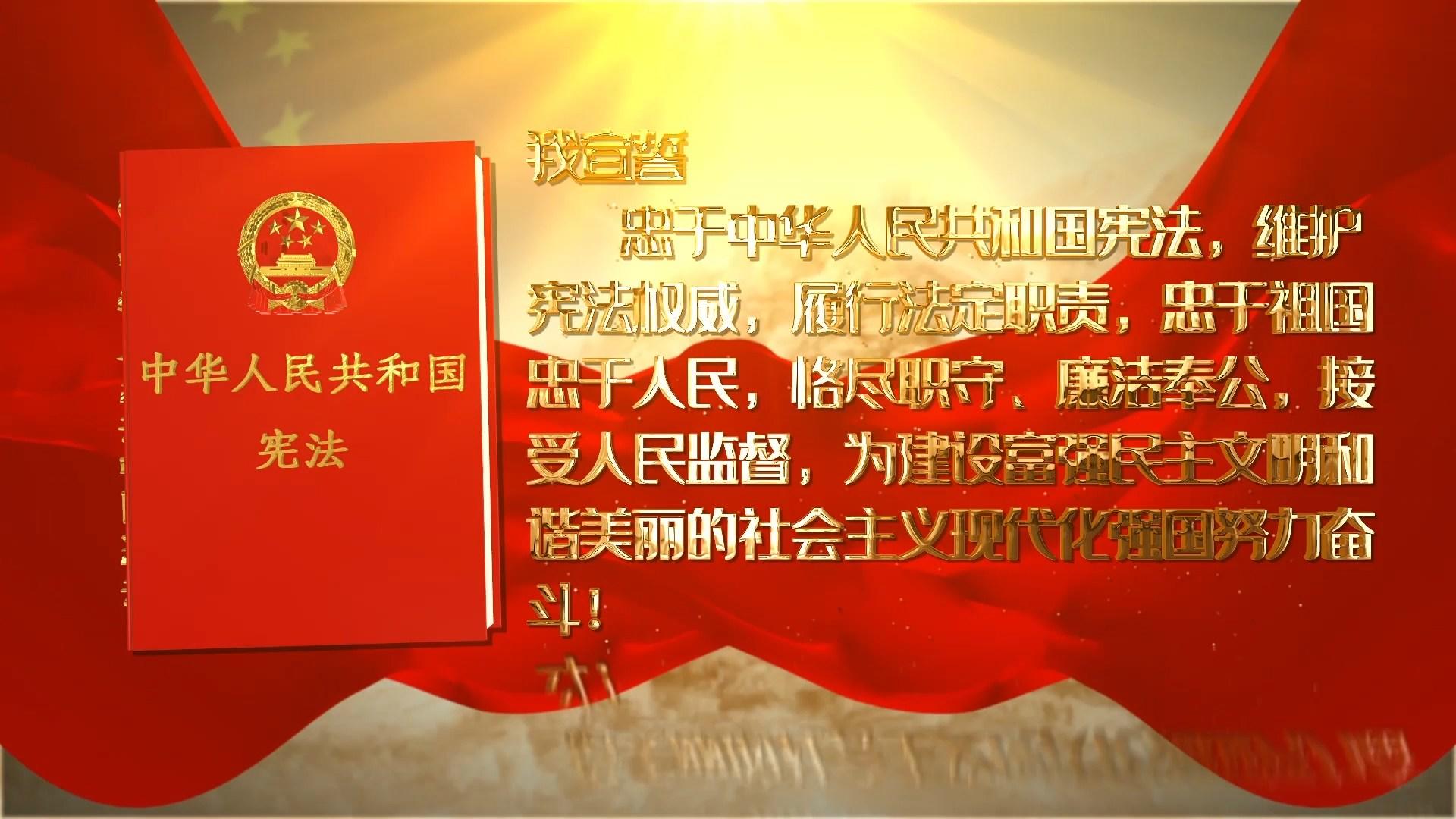 宪法宣誓背景视频视频的预览图