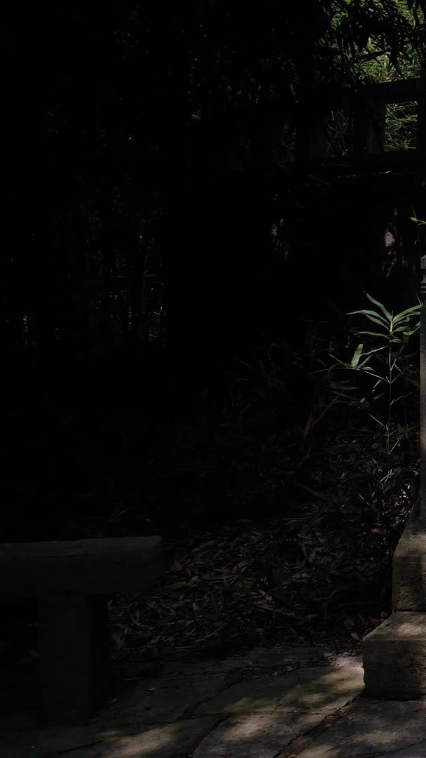 长江采石矶文化生态旅游景区李白衣冠冢航拍5A视频集合集合视频的预览图