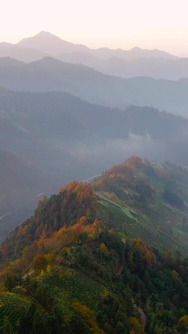 航空摄影安徽黄山淞县山峦日出风景视频视频的预览图