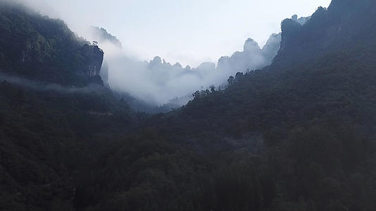 光雾山原始森林大山航拍视频的预览图