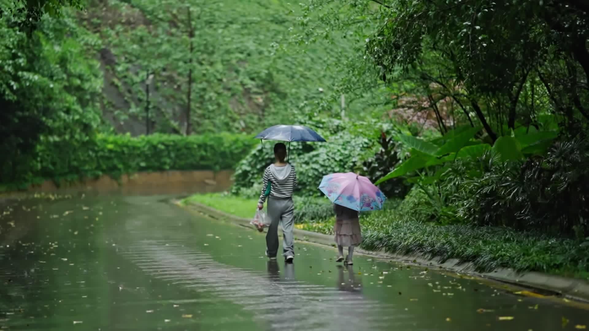 高清雨人文意境亲子背影升格视频的预览图