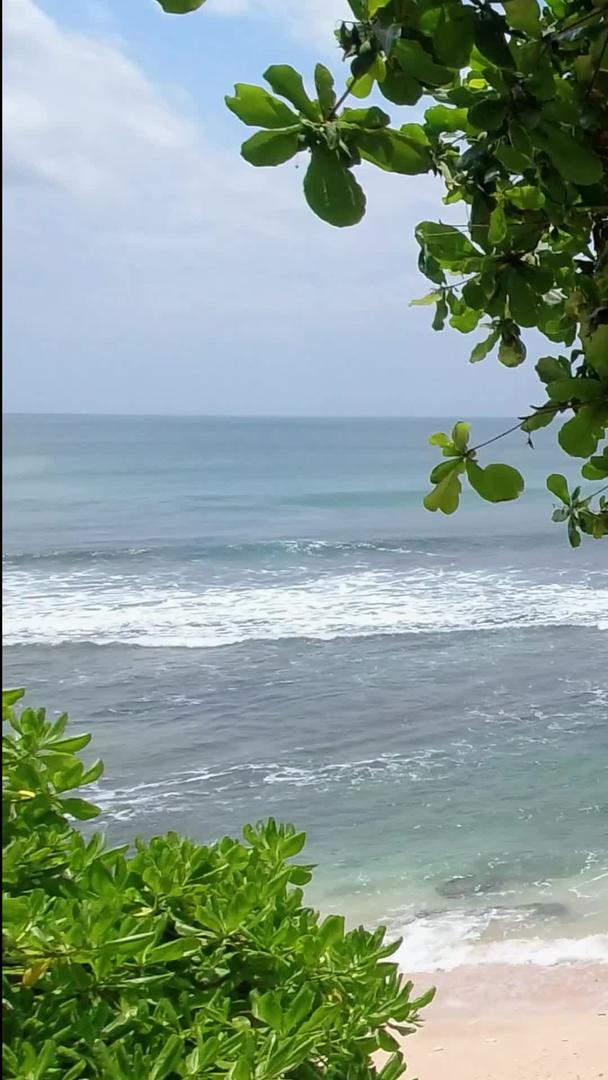 海边蓝天碧海礁石绿树高清视频的预览图