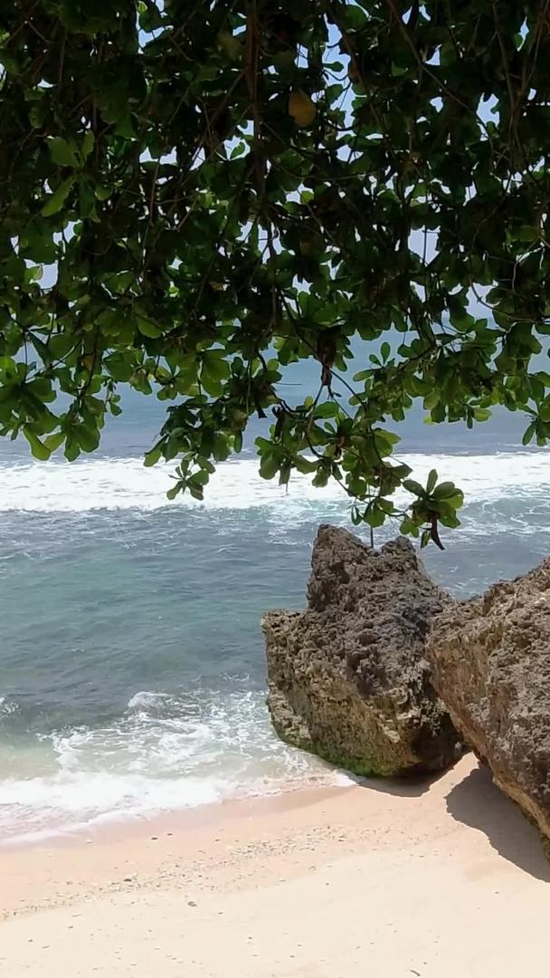 海边蓝天碧海礁石绿树高清视频的预览图