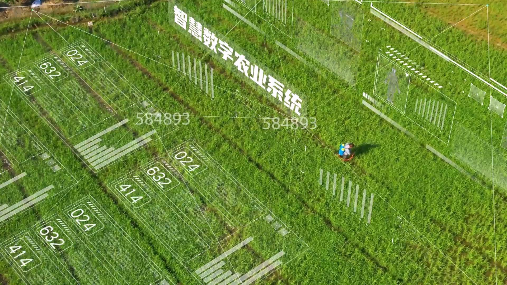 农田扶贫技术数字合成ae模板视频的预览图