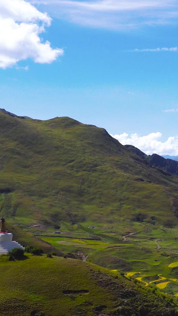 扎巴寺山谷梯田藏区视频的预览图