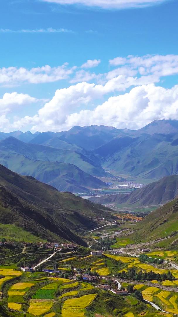 扎巴寺山谷梯田藏区视频的预览图