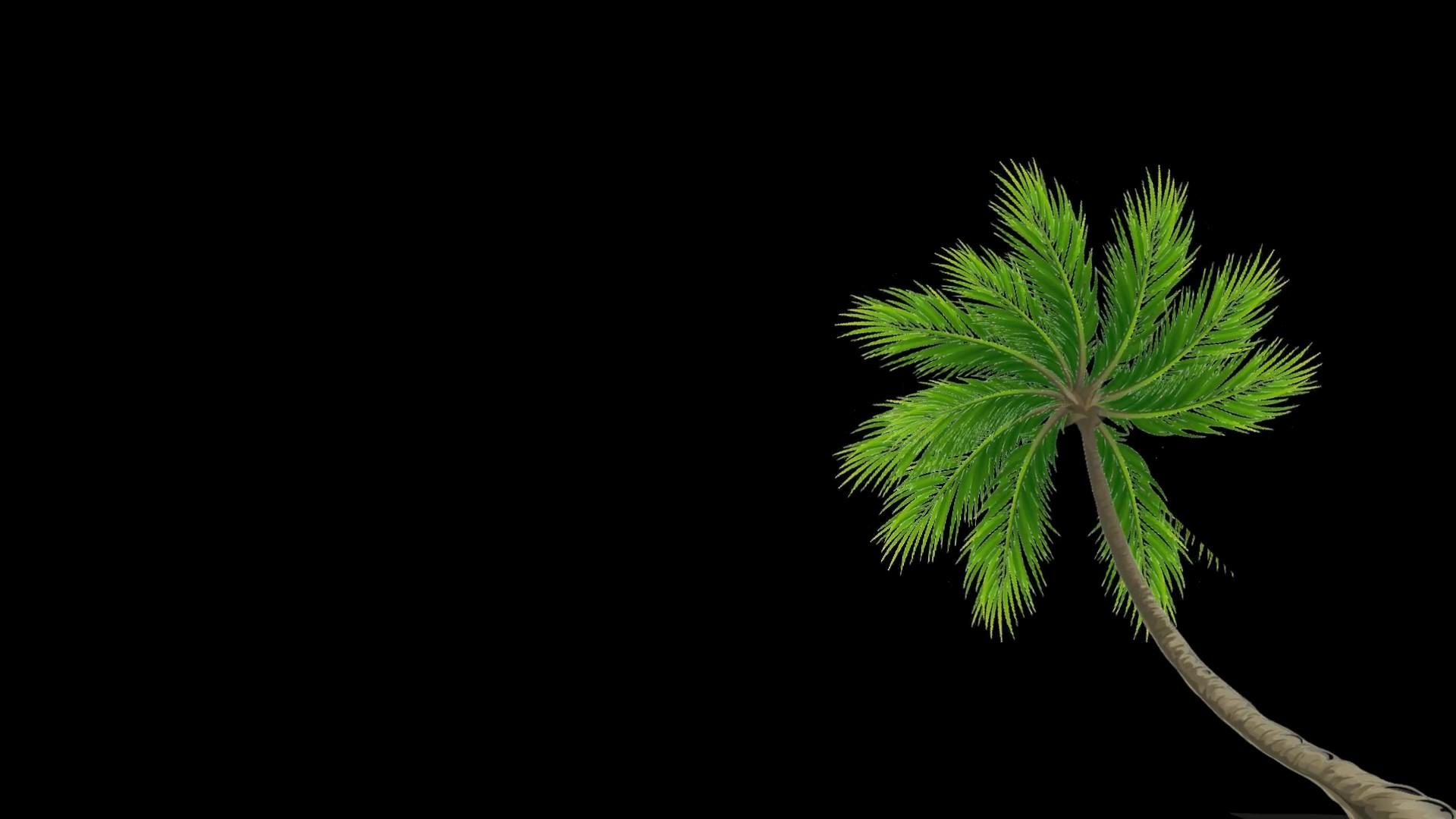 卡通时尚椰子树视频的预览图