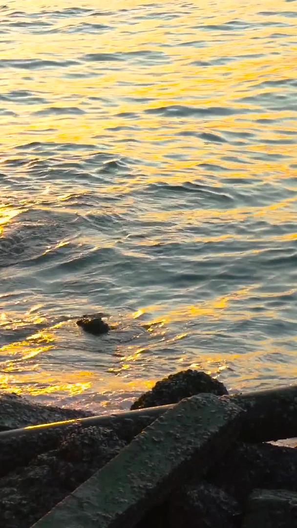 泰国海滨夕阳海钓实拍视频的预览图