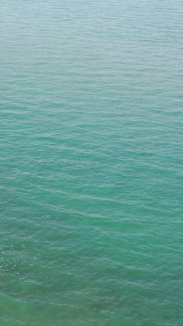 青岛海滨风景中的礁石航拍视频集合视频的预览图