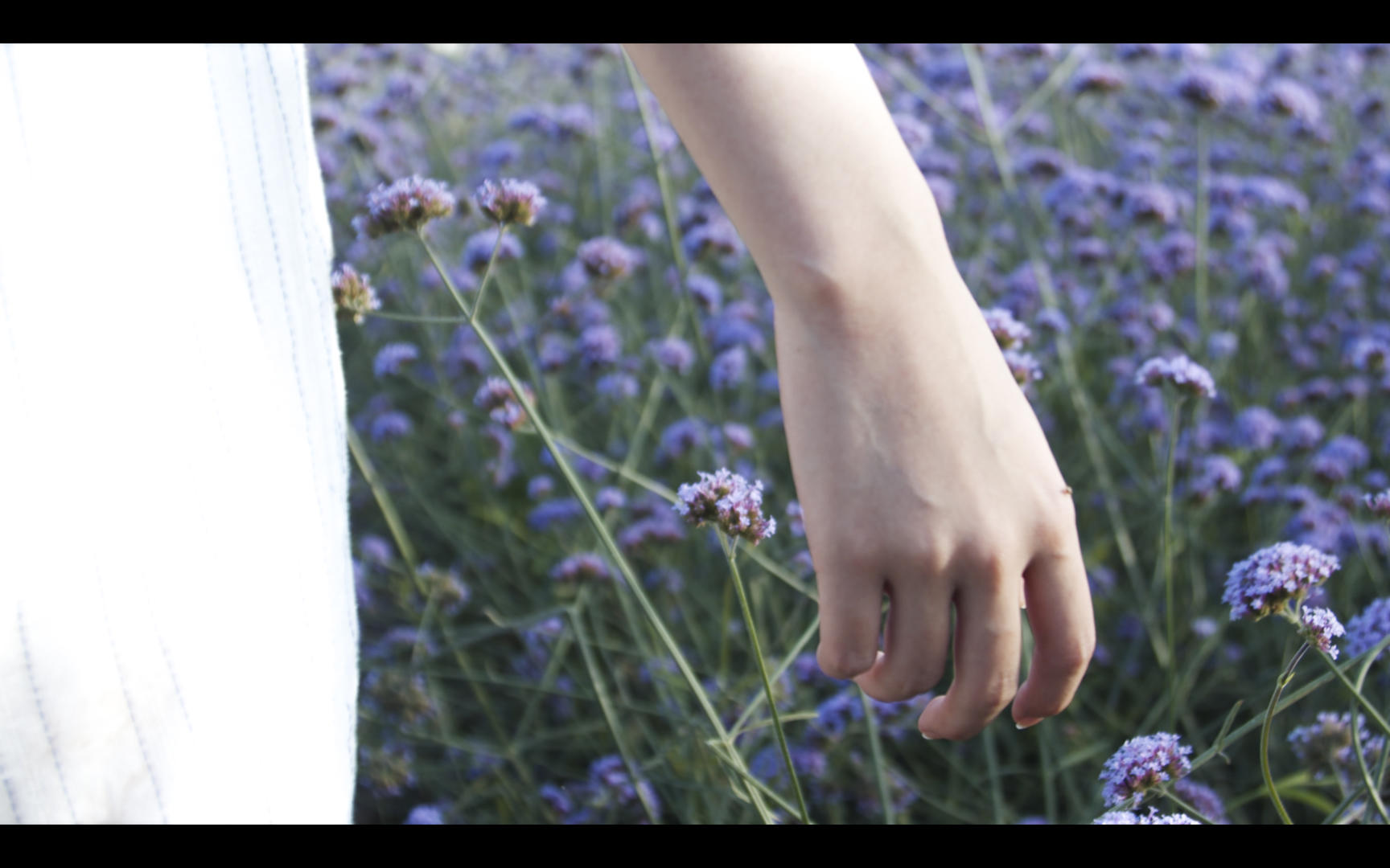 升格慢镜头花丛中的少女视频的预览图