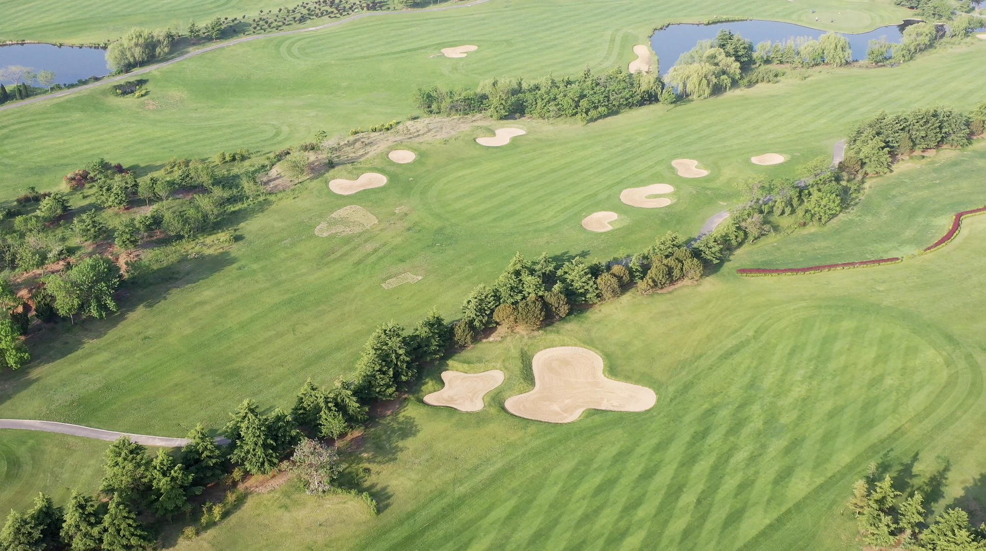 高尔夫球场航拍4K视频视频的预览图