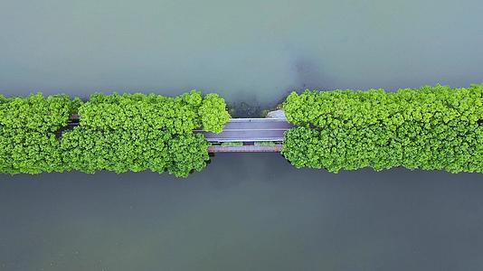 盗梦空间手法拍摄武汉东湖绿道视频的预览图