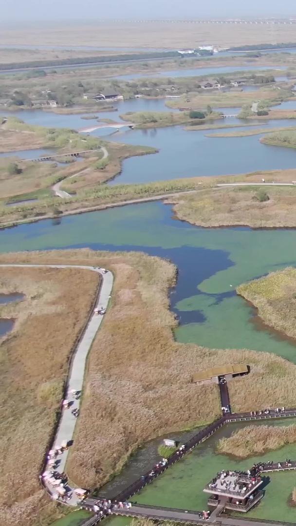 杭州湾国家湿地公园航拍视频的预览图
