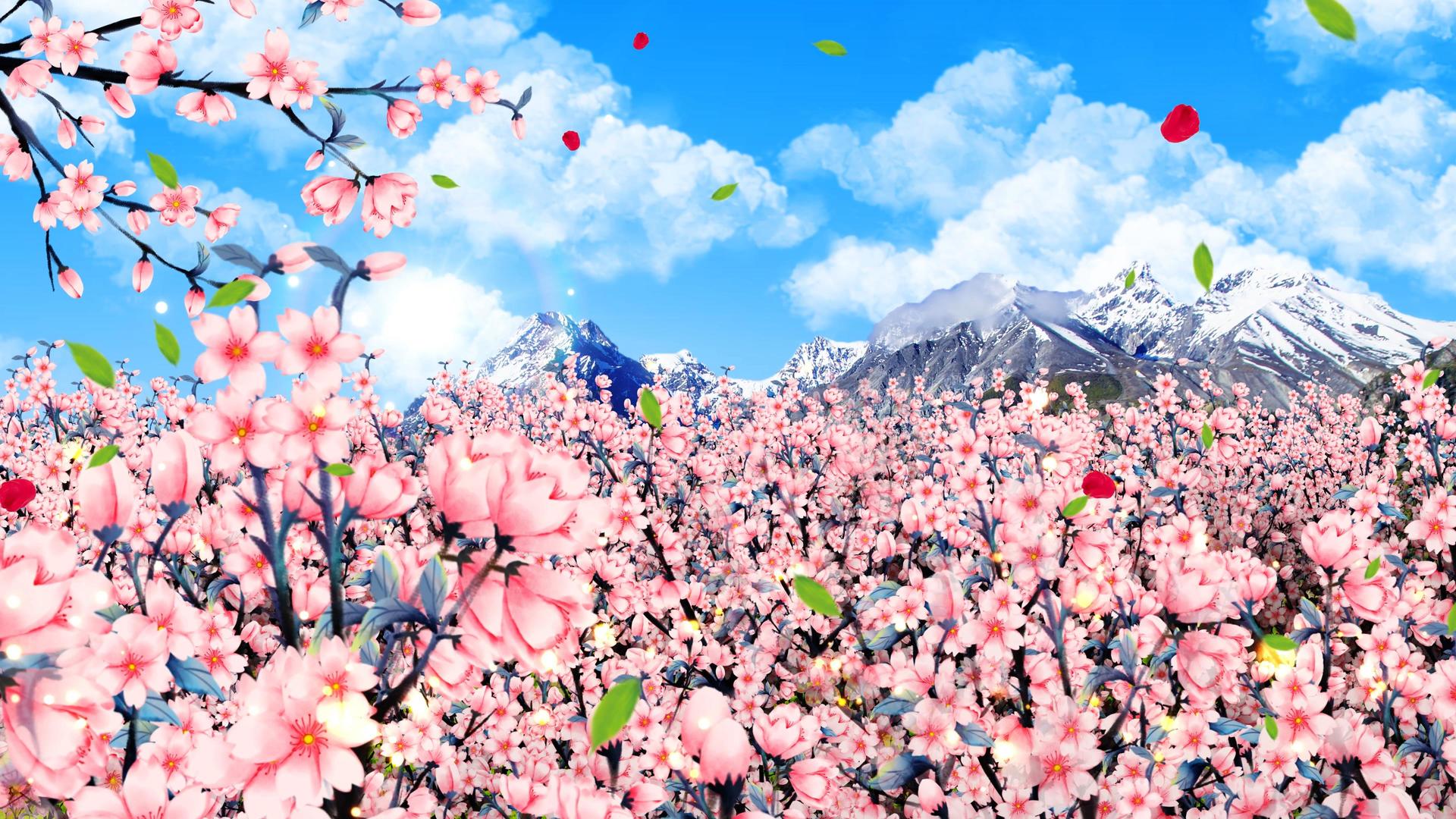 4K唯美的樱花背景素材视频的预览图