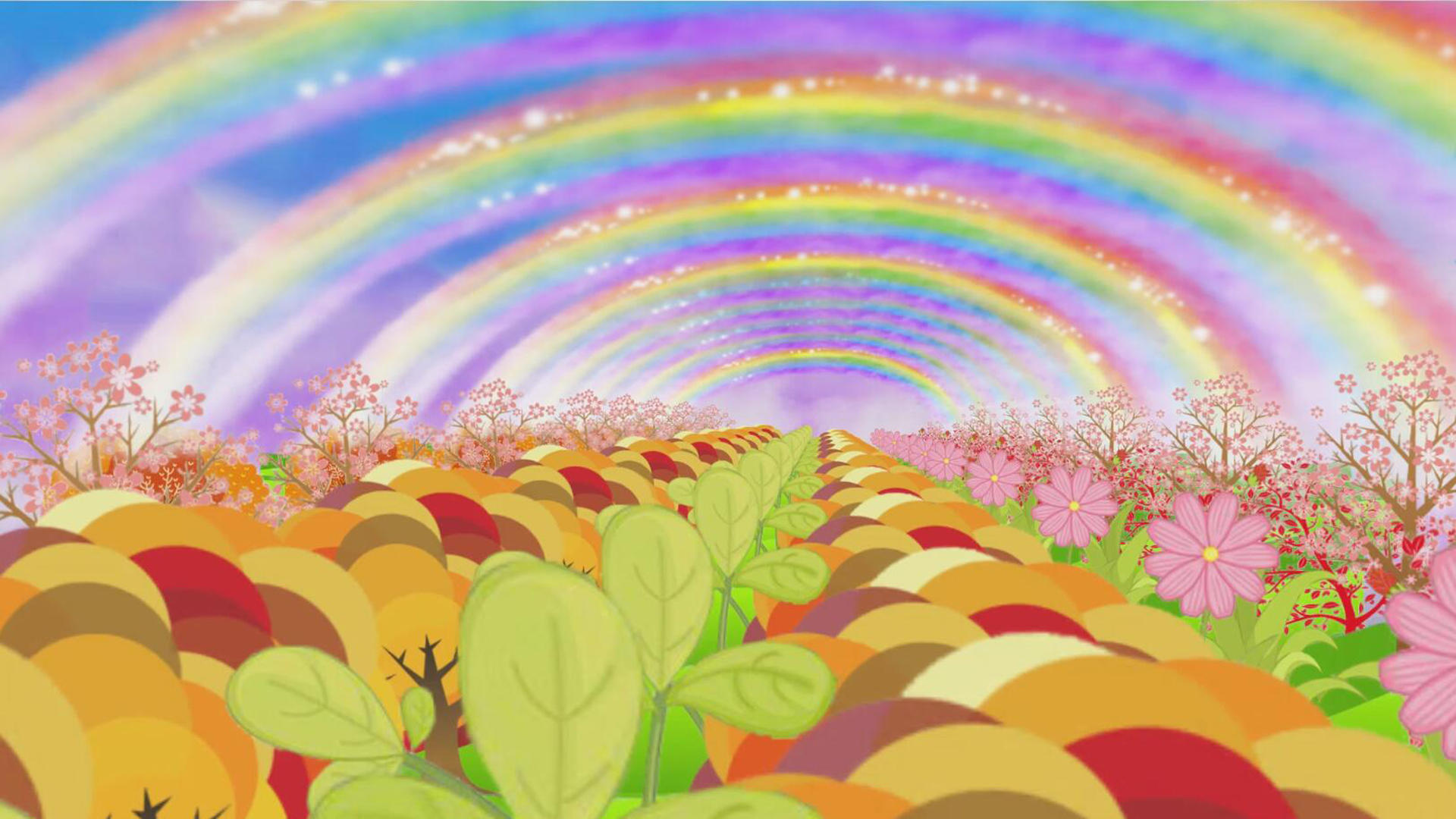 彩虹花园视频的预览图