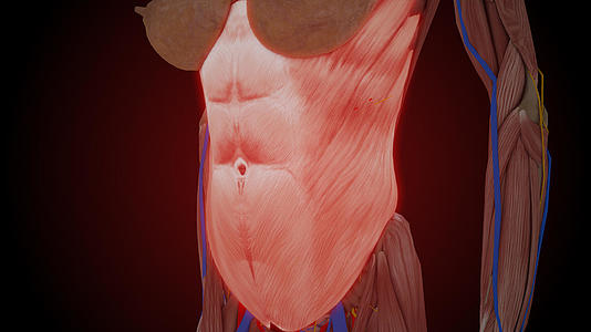 女腹部视频的预览图