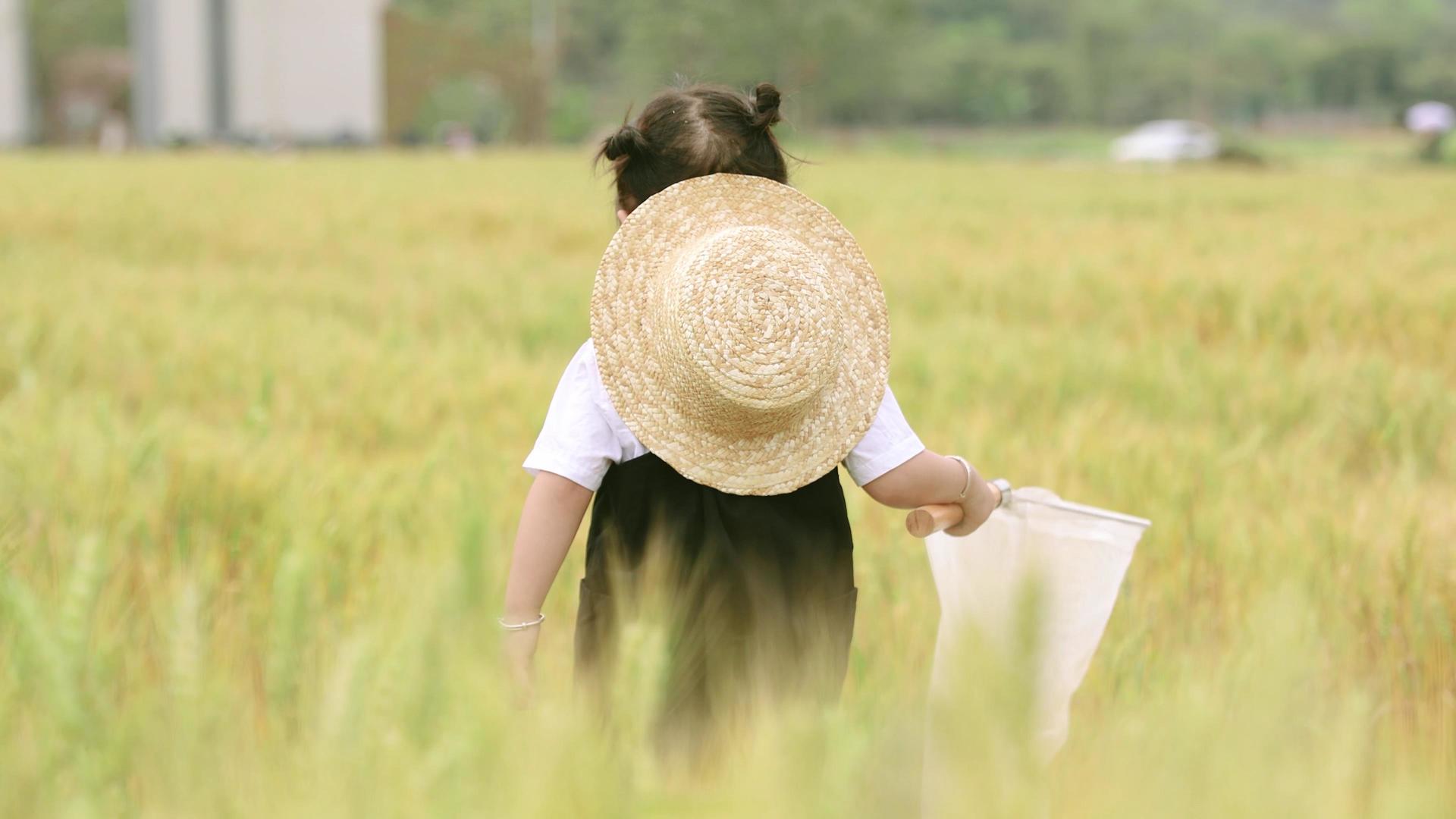 春天4K郊游女孩背影小满小麦田田地视频的预览图
