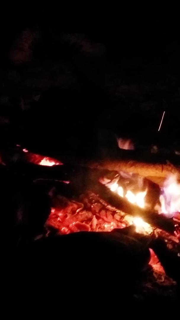 晚上柴火篝火视频的预览图