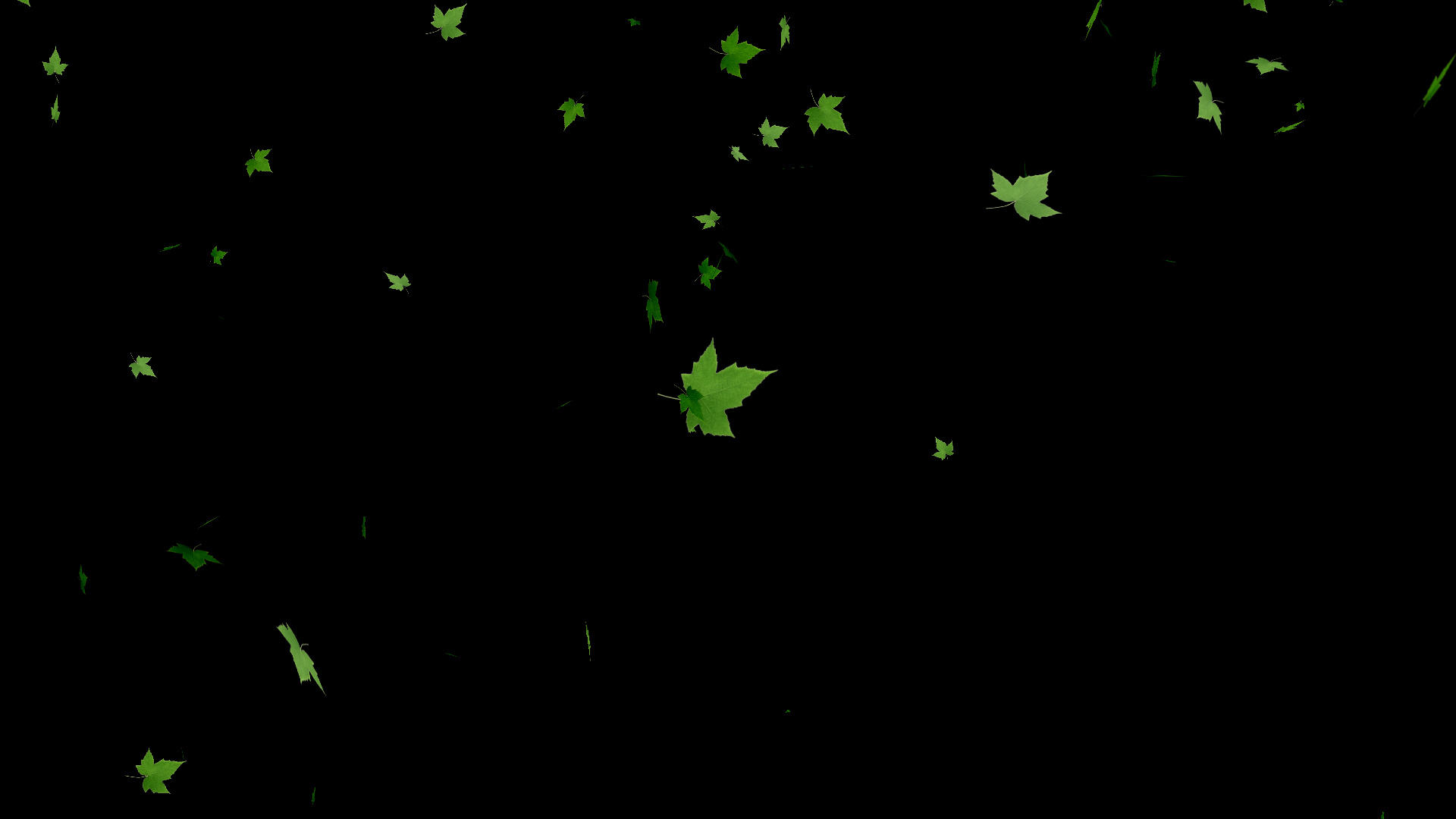 唯美绿色树叶飘落带通道视频视频的预览图