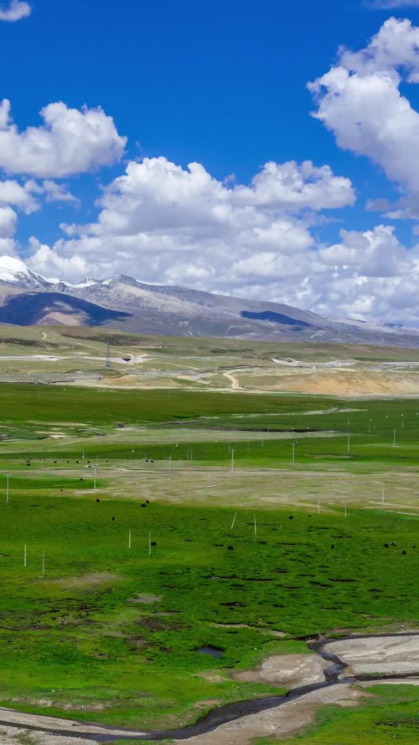 延迟西藏草原牧场视频的预览图