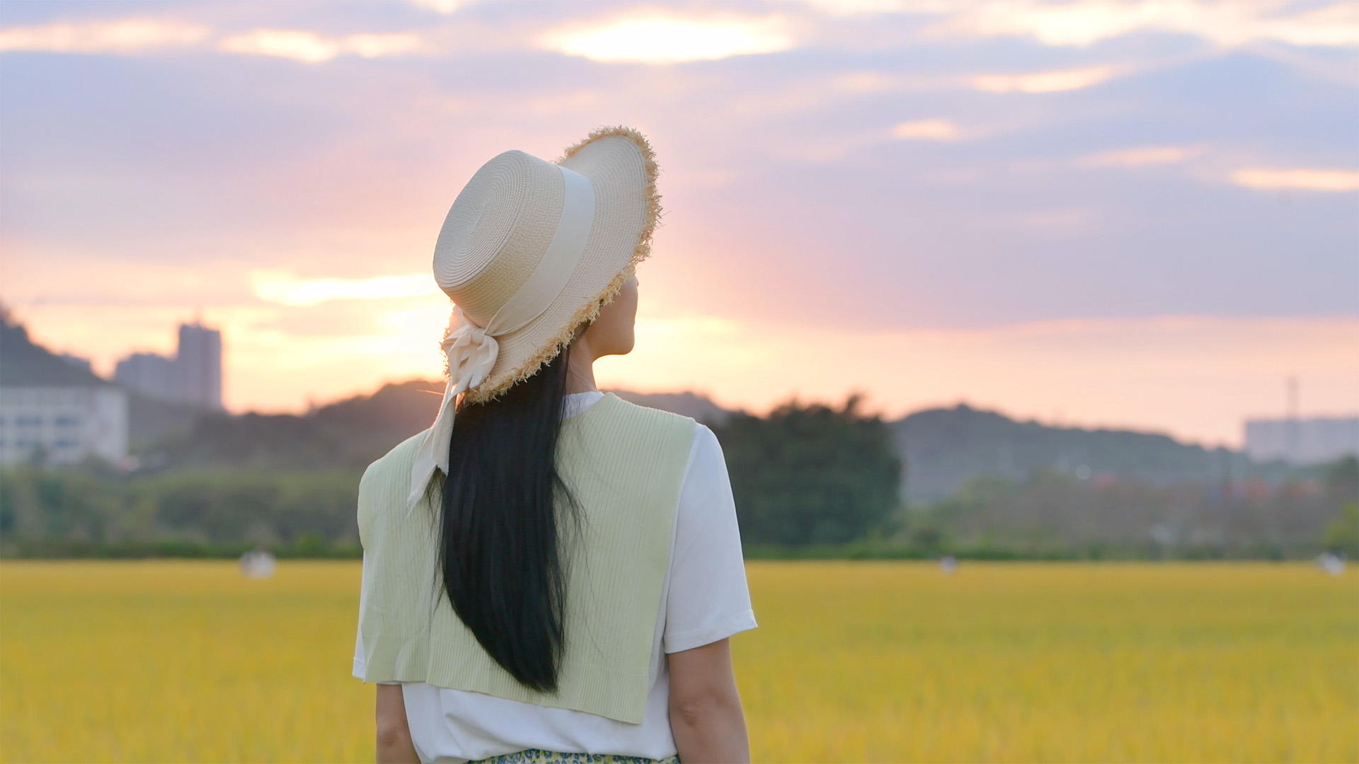在稻田里4K夕阳下的少女视频的预览图