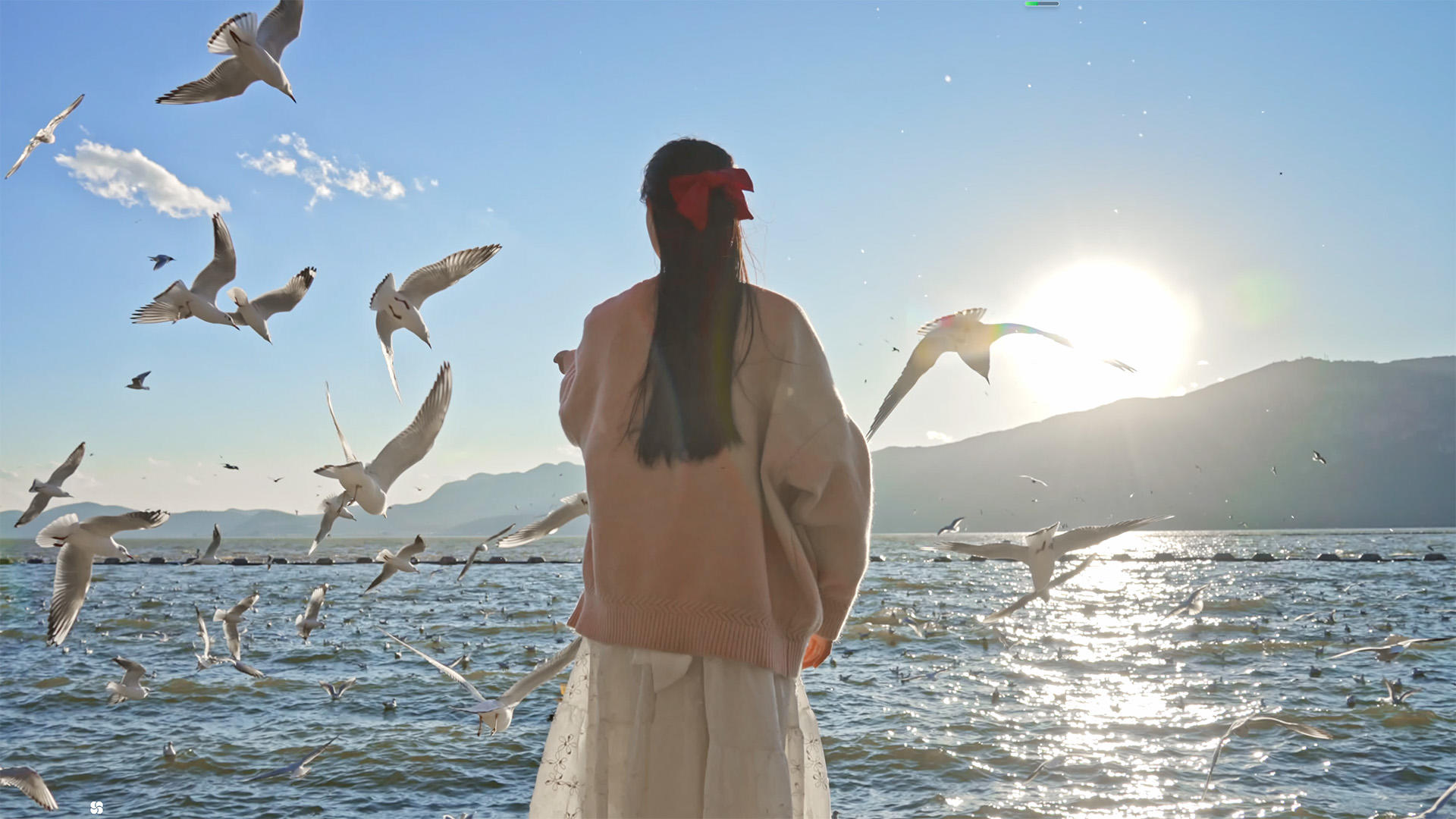 海鸥和少女4K升格视频的预览图