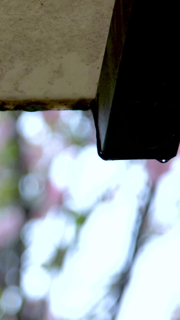 雨天升格屋檐上的水滴视频的预览图