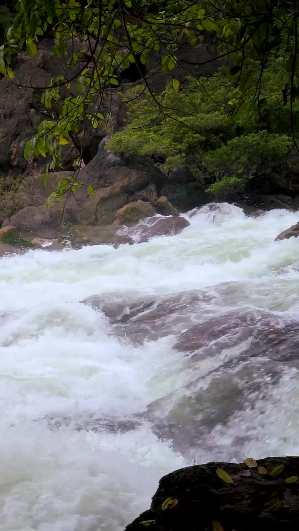 湍急的溪流视频的预览图