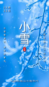 蓝色中国传统二十四节气之小雪视频海报视频的预览图