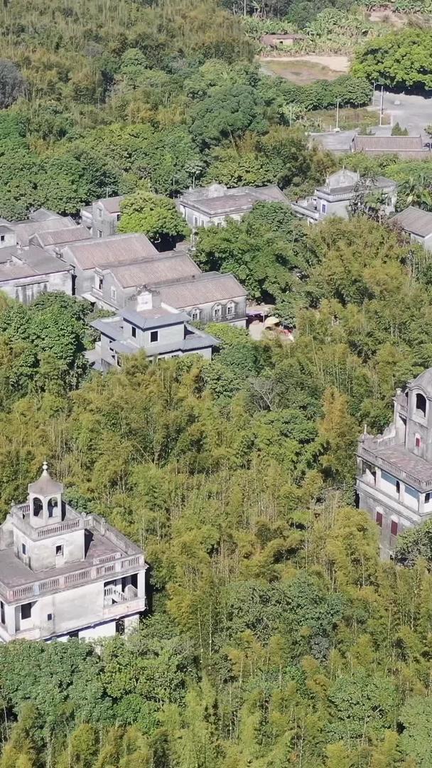 广东开平碉楼马降龙景区世界文化遗产视频的预览图