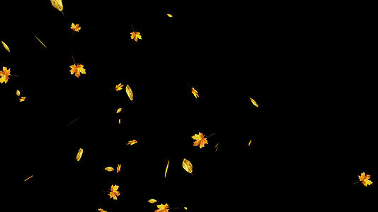 秋叶枫叶飘落带通道视频的预览图