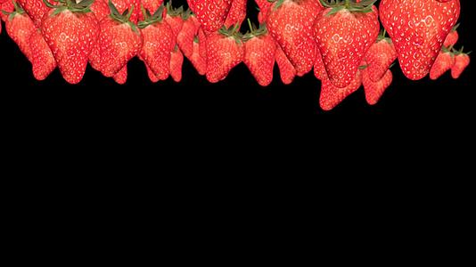 水果草莓镜头带通道视频的预览图