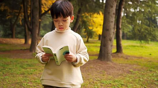 小男孩在秋季公园看书升格视频视频的预览图