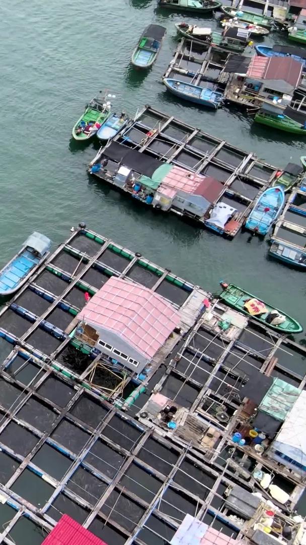 海南陵水家鱼排渔民船只穿梭航拍视频的预览图