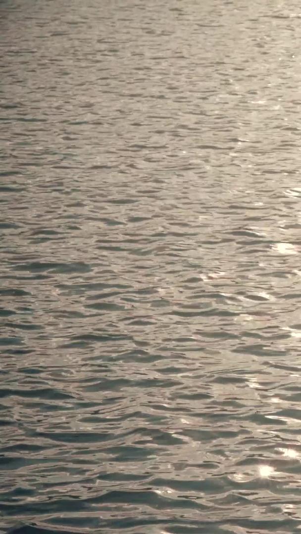 夕阳黄昏下波光粼粼的湖面鸭子游过视频的预览图