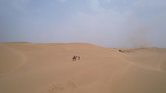 航拍新疆旅游塔克拉玛干沙漠中行走的骆驼4k素材视频的预览图