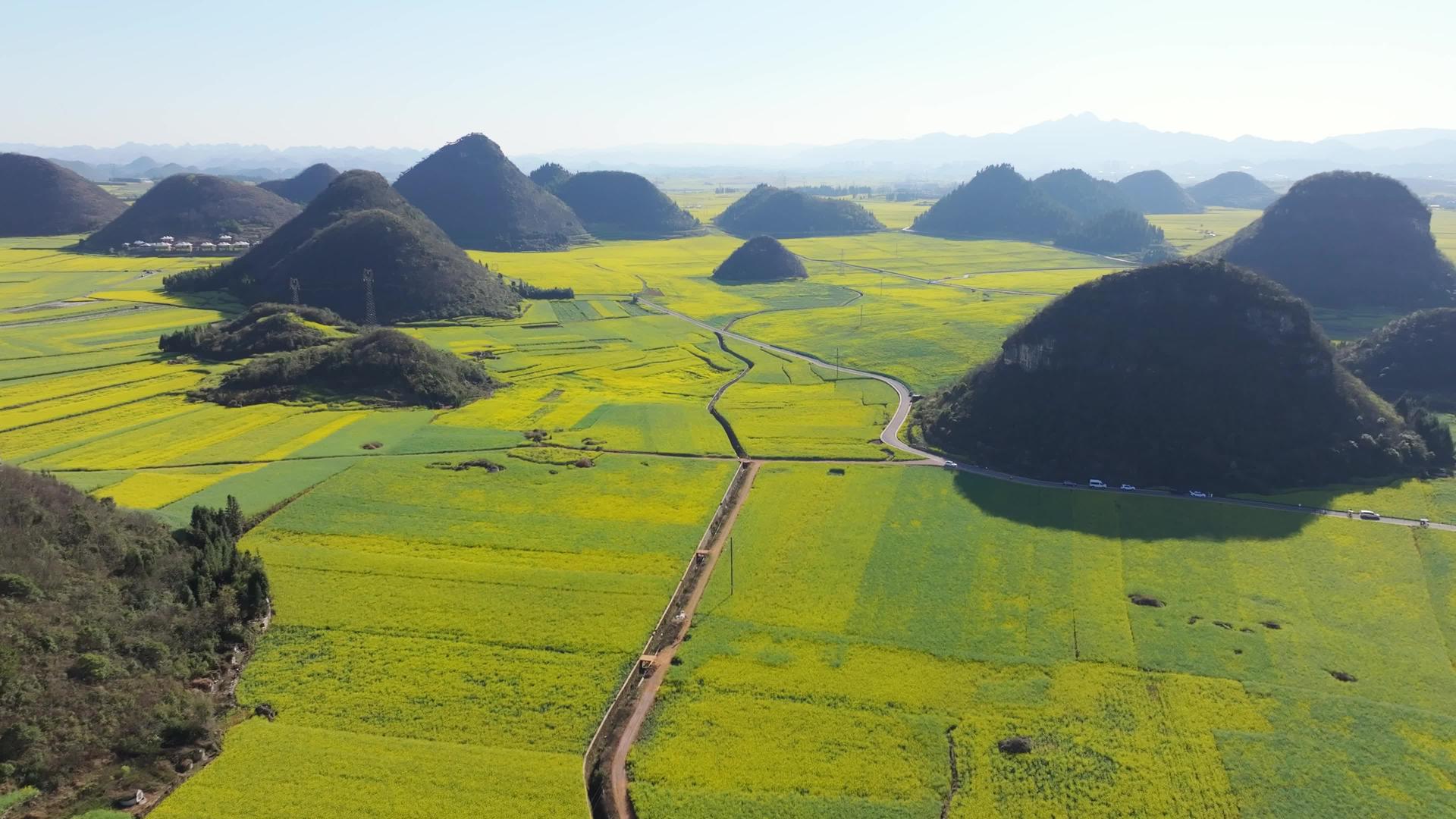云南罗平金鸡峰丛油菜花4k航拍风景视频的预览图