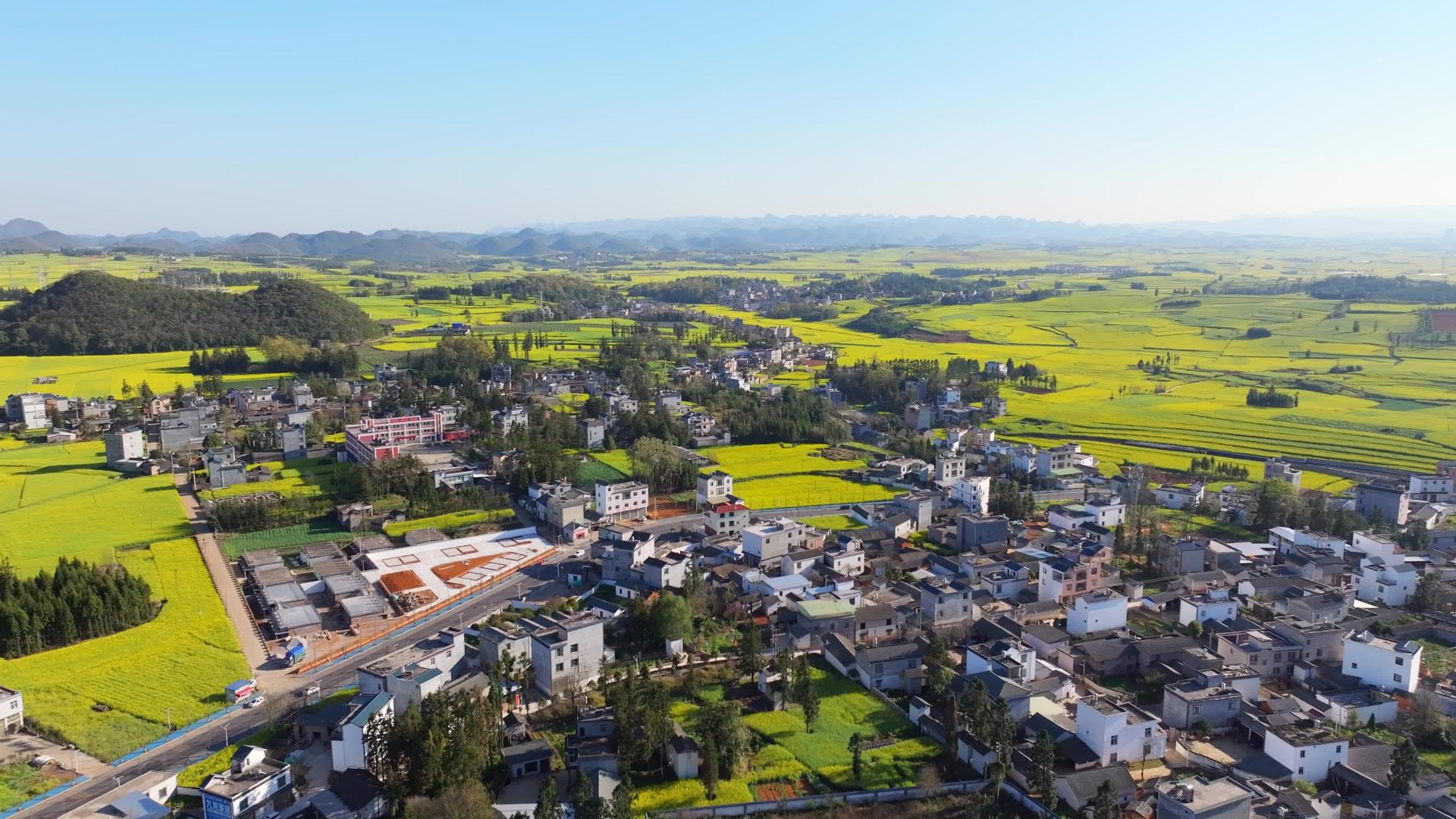 罗平春季乡村4k航拍油菜花风景视频的预览图