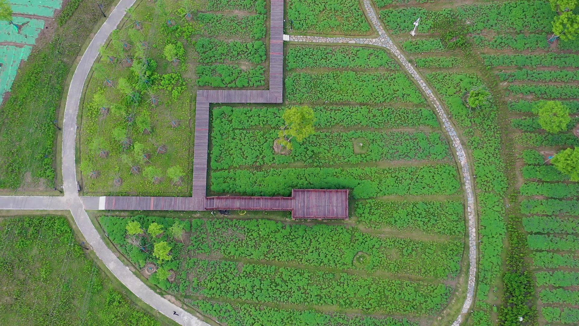 航拍公园绿植覆盖的栈道素材视频的预览图