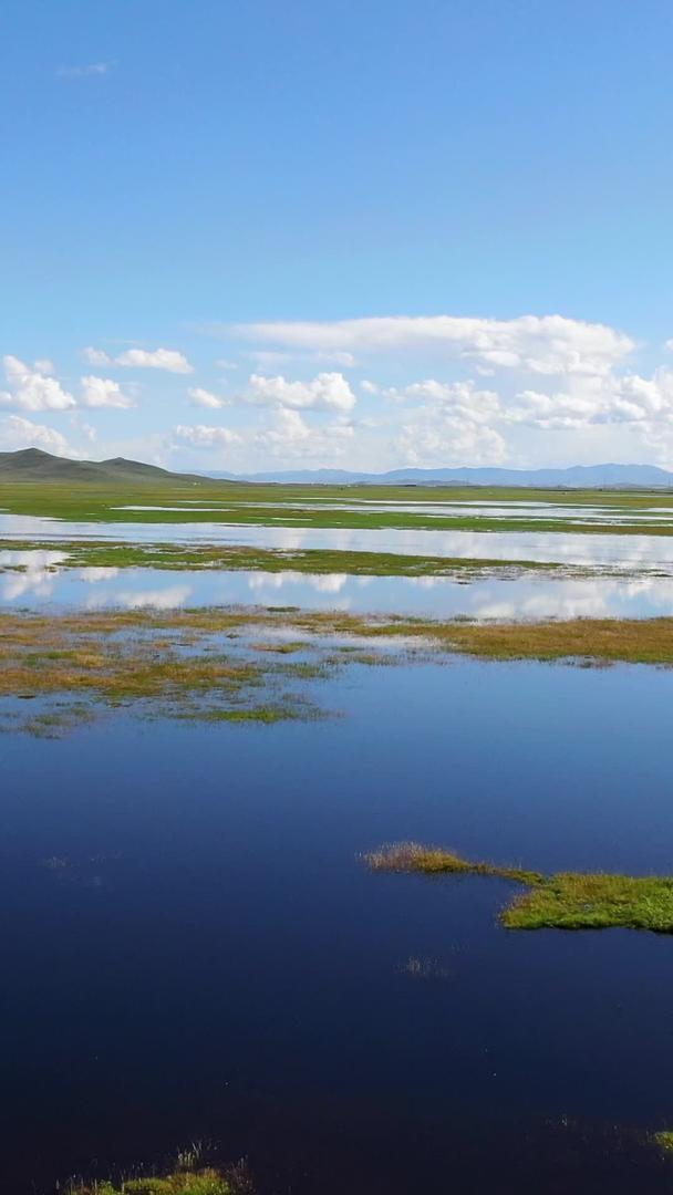 四川阿坝旅游景点花海湖景区视频的预览图