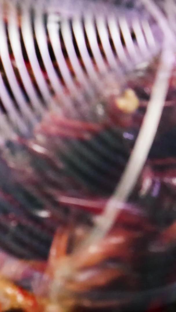 油炸小龙虾实拍视频素材视频的预览图
