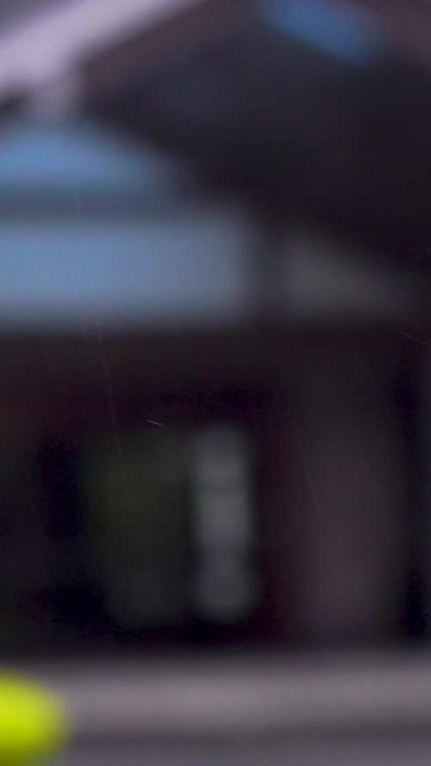 雨中的枫叶合集视频的预览图