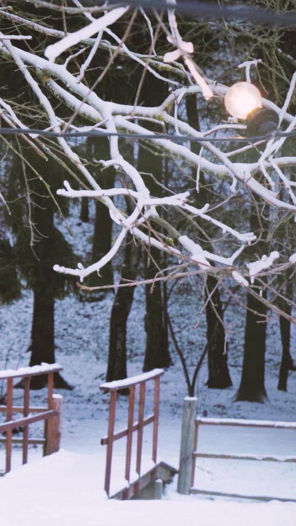 一群朋友在冬天遇到滑雪场滑雪场滑雪场视频的预览图